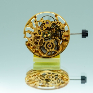 SW300 squelette doré