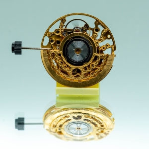 SW300 squelette doré