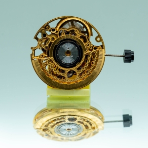 SW300 squelette doré