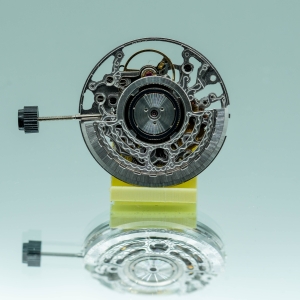 SW300 squelette argenté