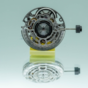 SW300 squelette argenté