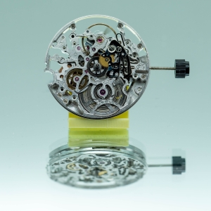 SW300 squelette argenté